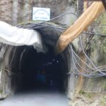 भोटेकोसी–१ ले सर्वसाधारणलाई ८१ करोडको सेयर दिदैं